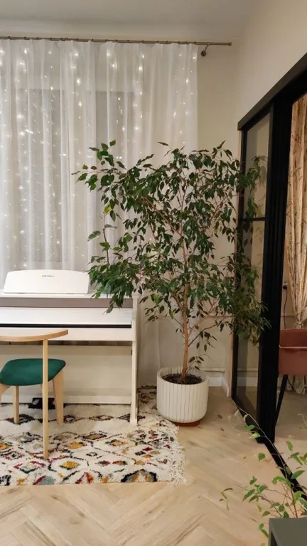 Квартира 2-комн. квартира, 46 м² — Москва