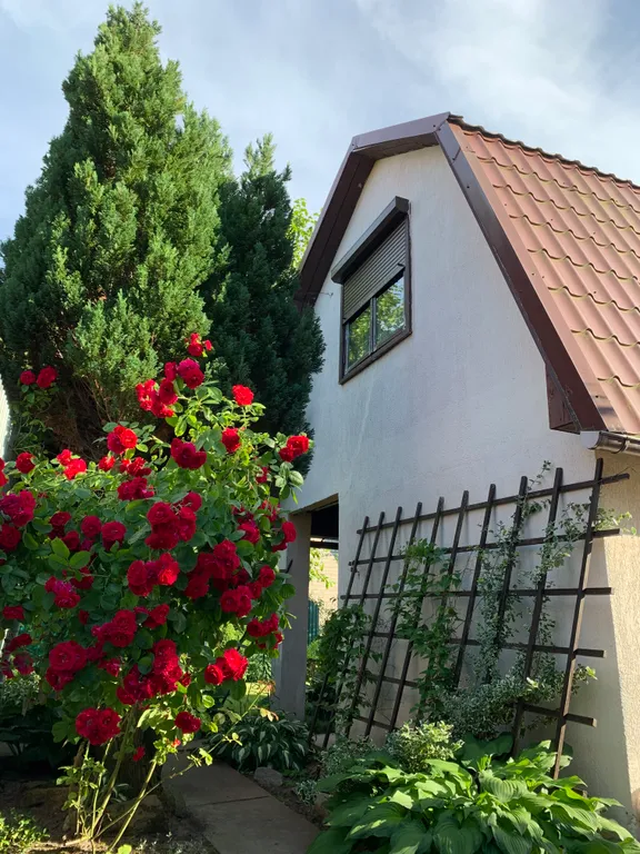 Дача у моря в Сокольниках