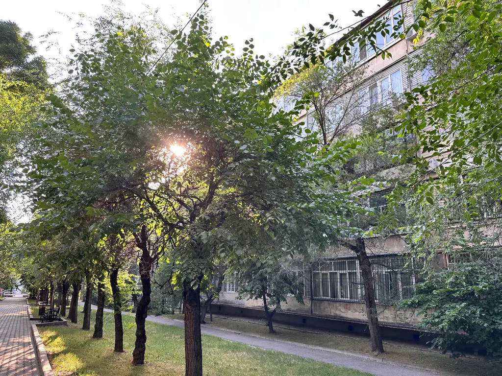 Шикарный 3 метровый потолок в квартире