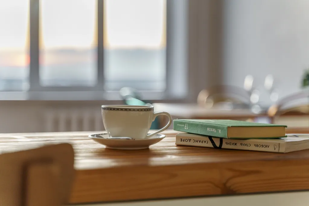 Просторная квартира в центре города с видом на реку