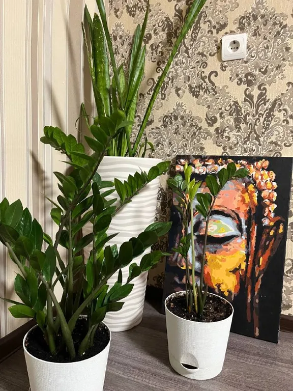 Апартаменты на Портовом шоссе