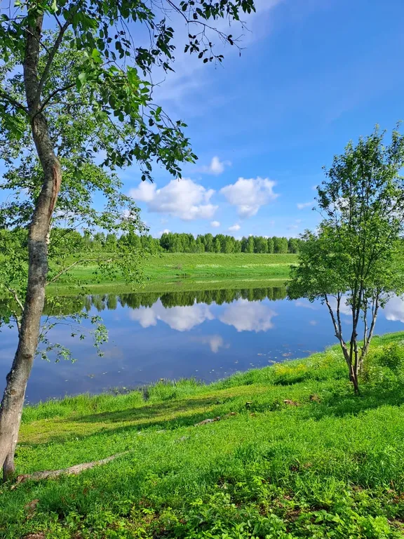 Домик на берегу Волги