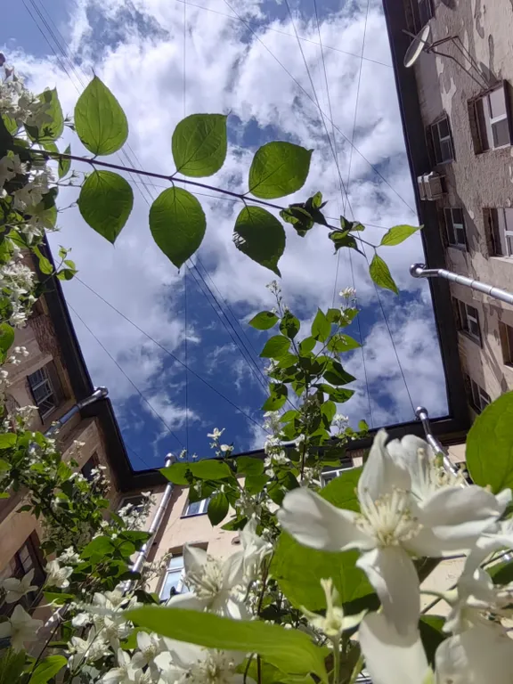 Комната "Ассоль" Бесконтактный заезд, хранение багажа До Эрмитажа 350м