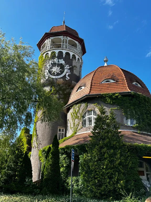 Квартира Квартира в сказочном Светлогорске с видом на лес под пение птиц — Светлогорск