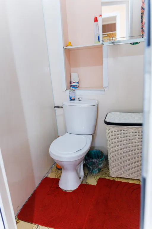 Домино около Додо