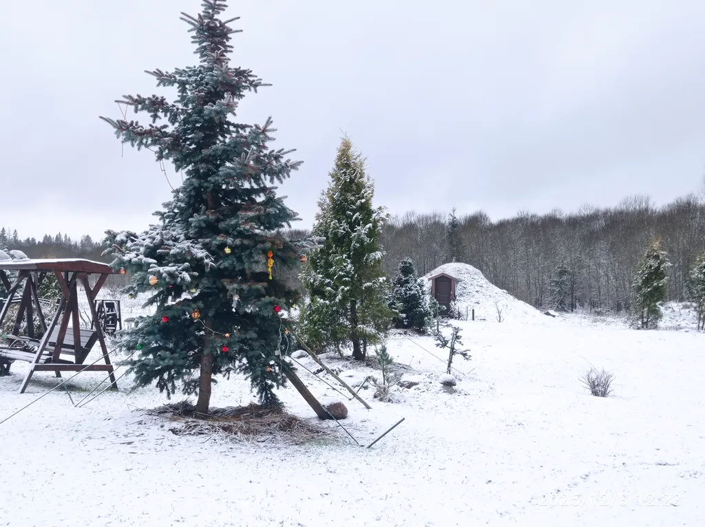 Апартаменты с камином