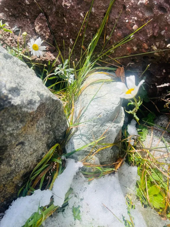 Коттедж Атмосферный домик с мангалом в горах — Архыз