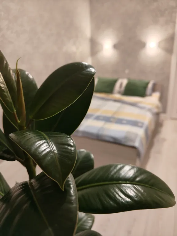 Двуxкомнaтная квартира Колибри комфорт класса