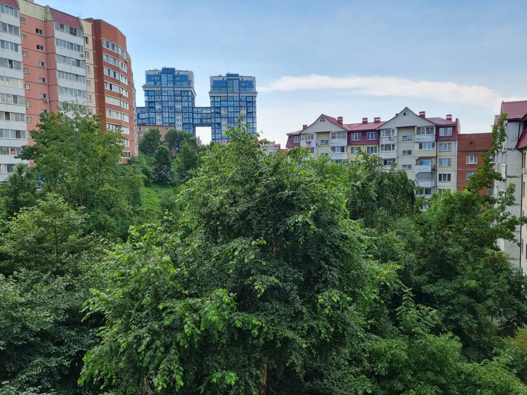 Квартира Просторная квартира в хорошем районе с видом на зеленый двор — Владивосток