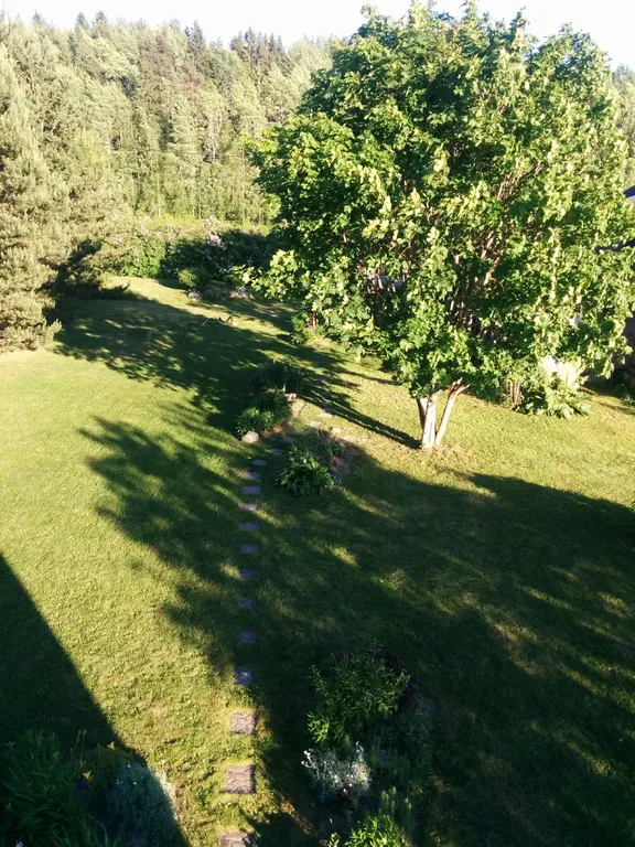 Коттедж Гостевой дом Илму с баней — Нижние Виданы