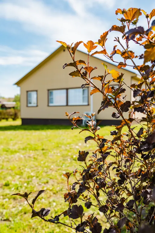 Коттедж Дом на берегу озера Плещеево — Веськово