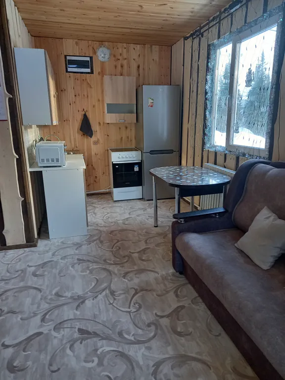 Дом из бруса, прекрасный вид на гору Зеленая