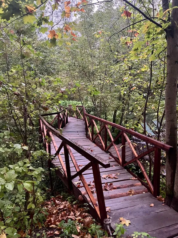 Коттедж на реке