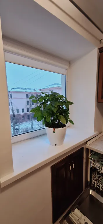 Светлая, тёплая квартира в историческом центре Архангельска