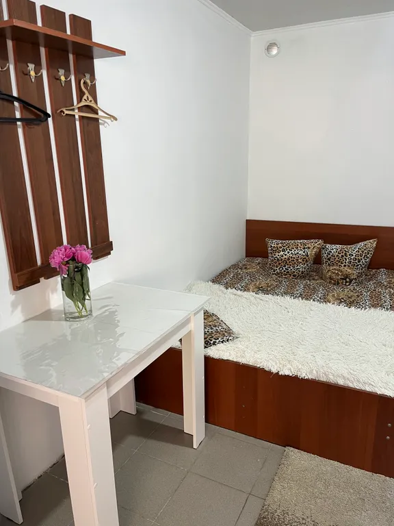 Квартира 7 номеров с общим туалетом и душем — аренда посуточно в Соль-Илецк