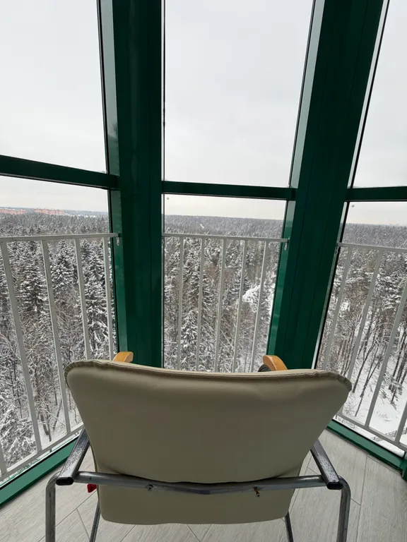 Шикарная двухкомнатная квартира с кузней- гостиной с видом на лес