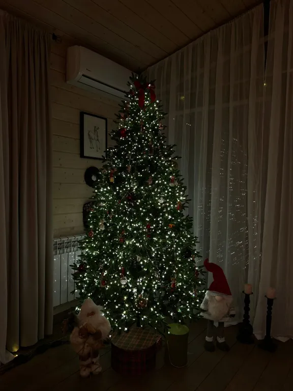 Светлая Гавань