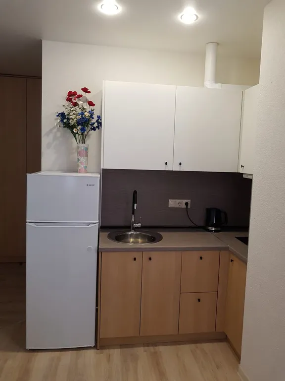 Квартира Квартира Уютная студия — Адлер