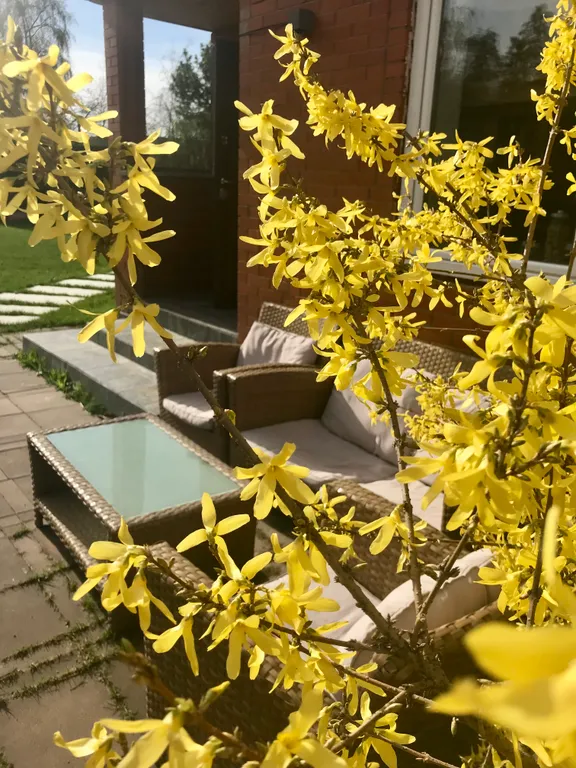 Уютный дом с камином «Сосны и Звёзды»