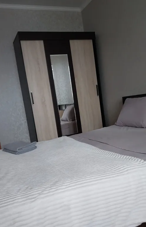 Двухкомнатная квартира в центре города