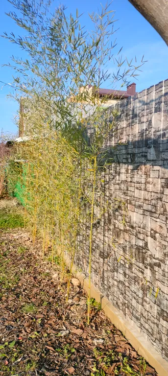 Коттедж Двухкомнатный дом в курортной зоне — Горячий Ключ