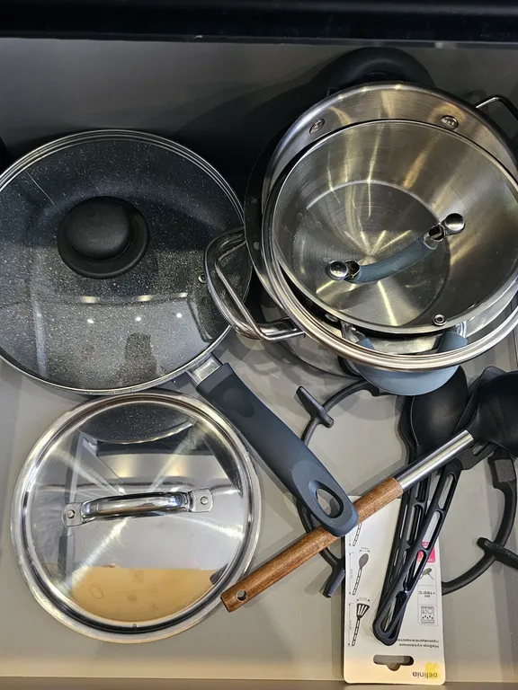 Студия у Псковского Кремля