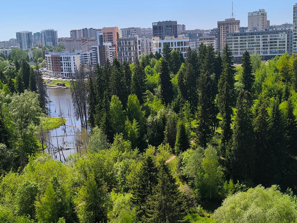 Квартира с видом на лес