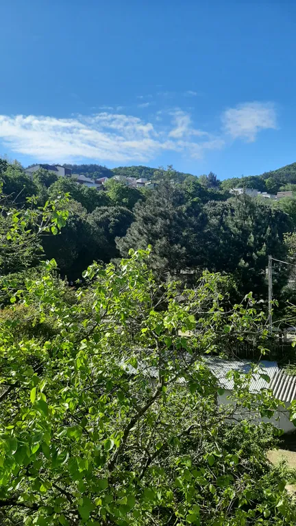 Квартира Уютная квартира с видом на горы — Лазаревское