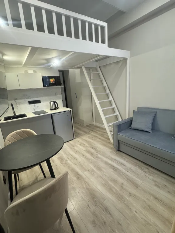 Уютная студия в центре города