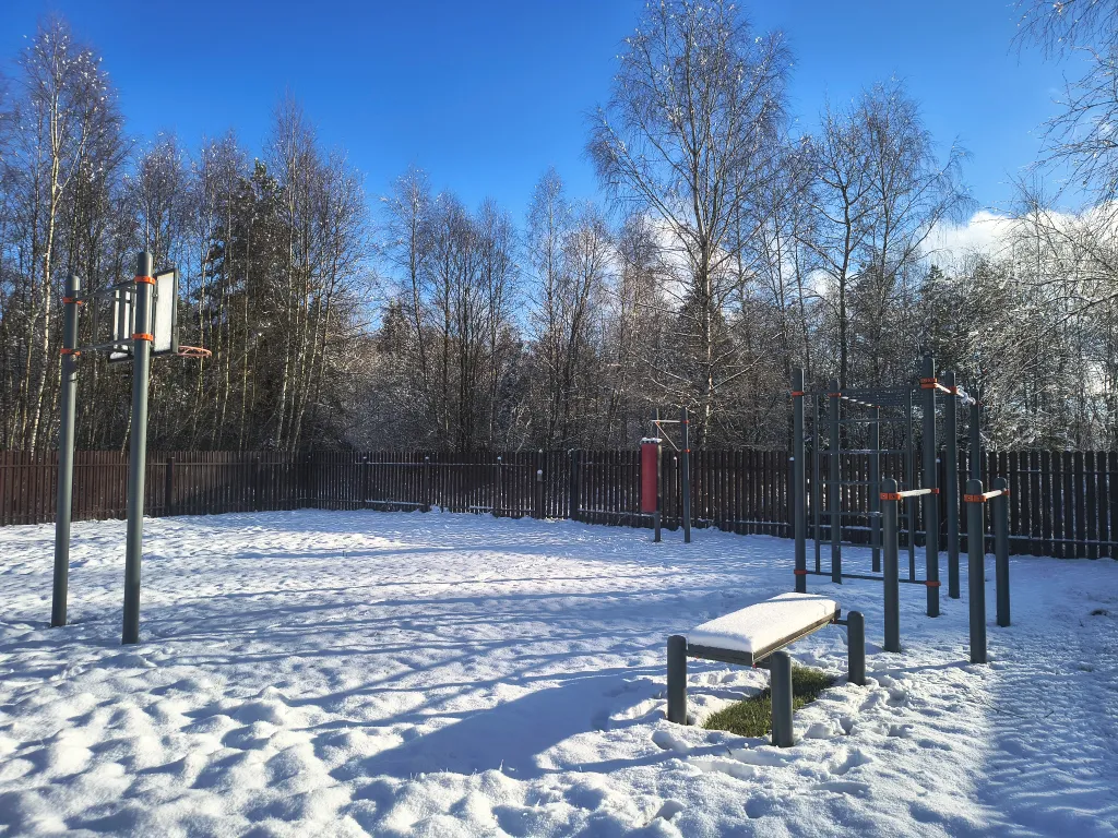 Русская усадьба с баней со швейцарским флёром