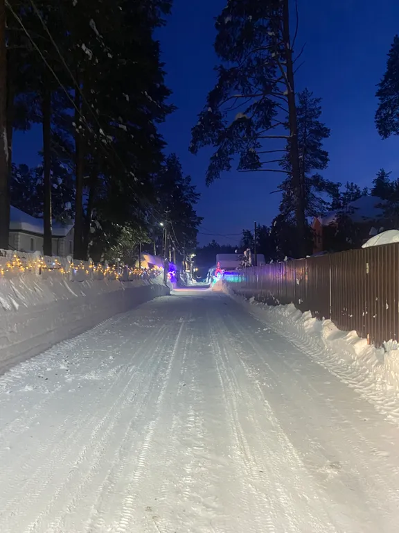 Дом в черте города в сосновом лесу
