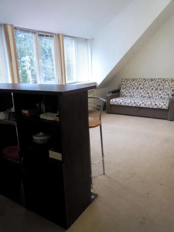 Уютный номер-студия