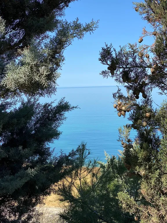 Видовая квартира со свежим ремонтом Учкуевка