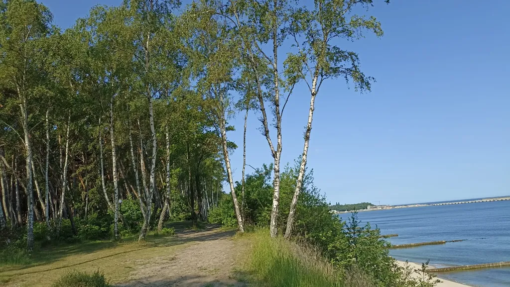 Комфортное жилье на Балтийском побережье