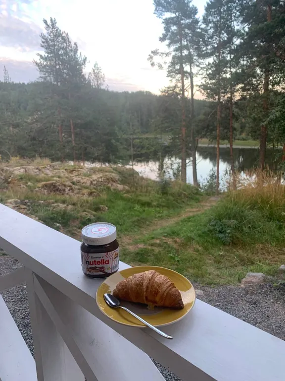 Коттедж с собственным пирсом и террасой на берегу Ладоги