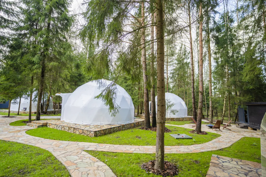 Дом для двоих в сосновом лесу