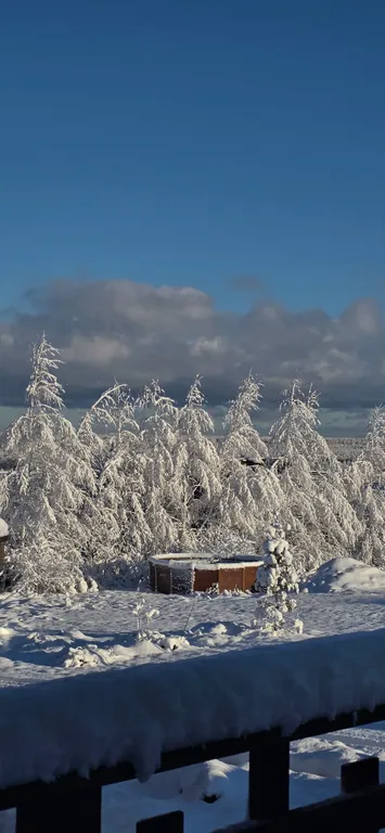 Дом на Царских высотах