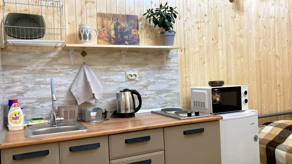 Апартаменты Спутник