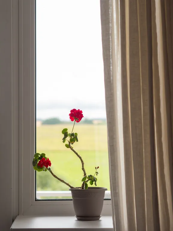 Дом для Души