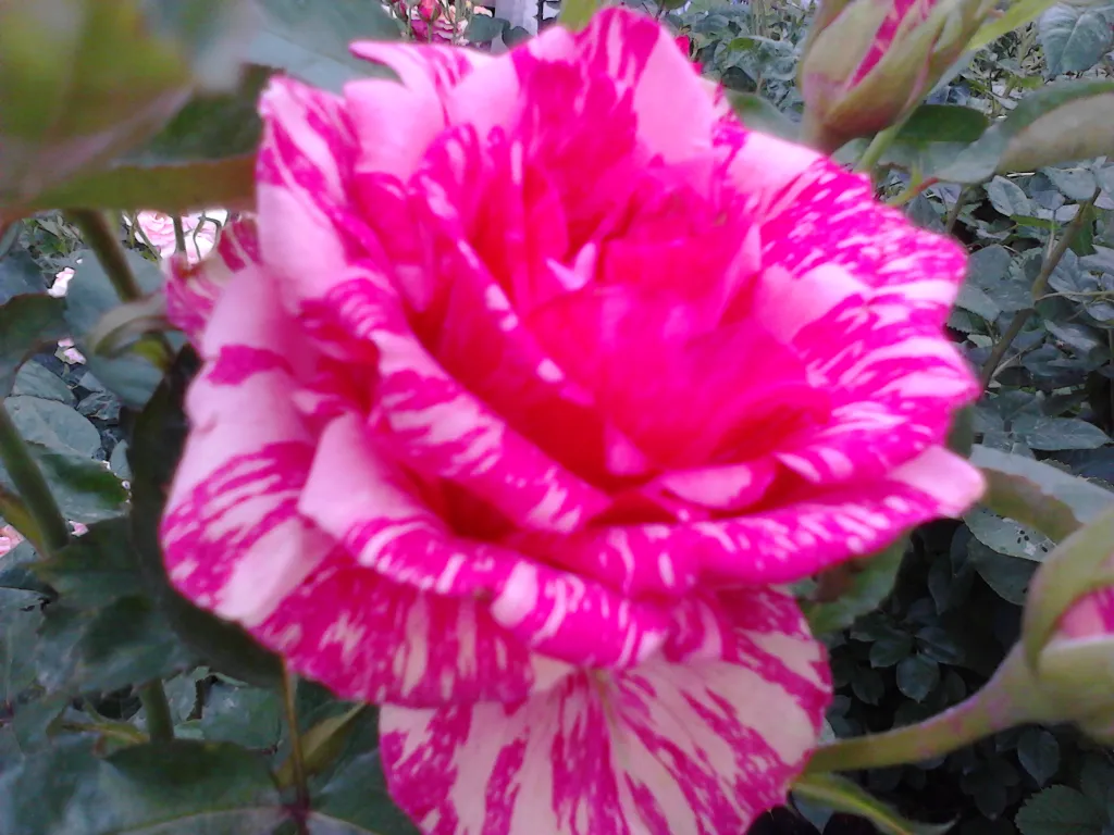 Уютный дом под ключ