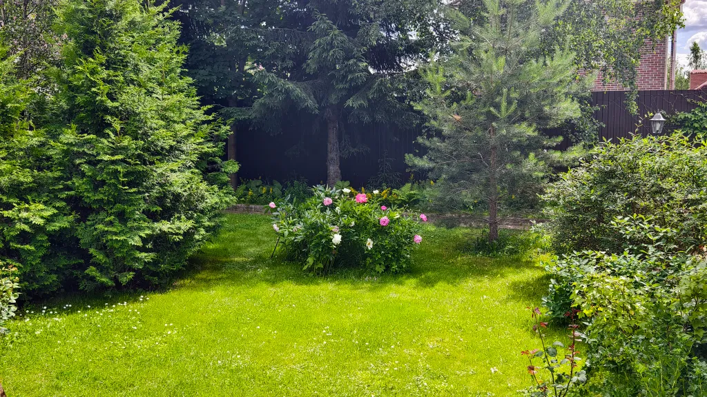 Романтика среди сосен!