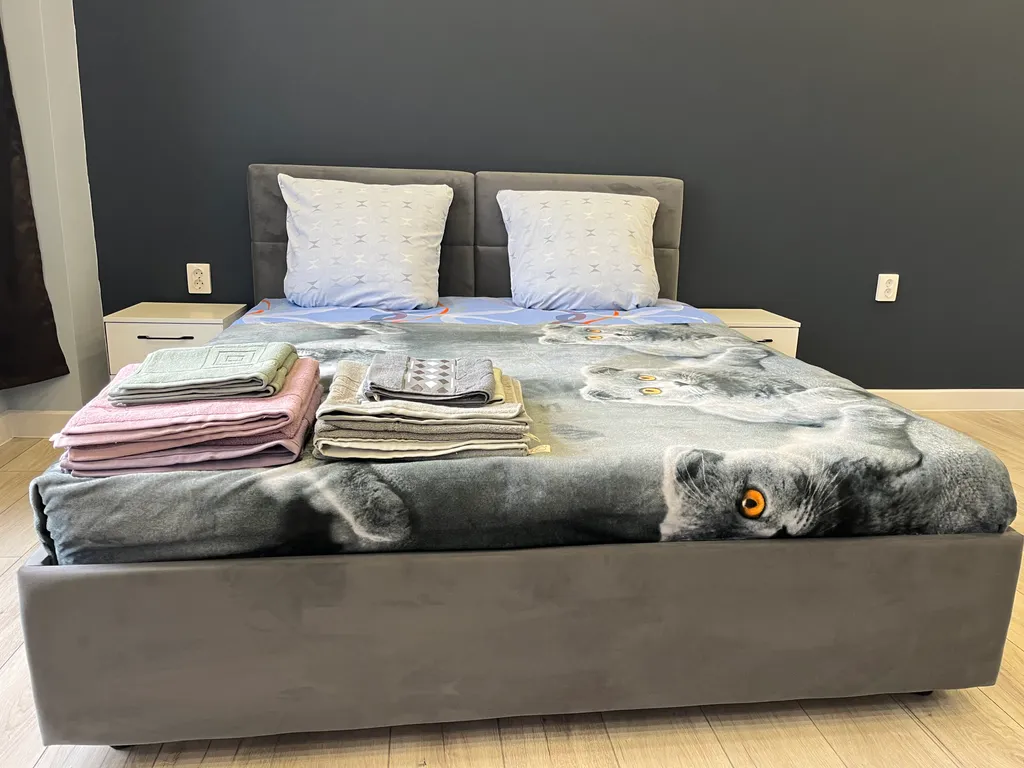 Ayshe prestij studio 6