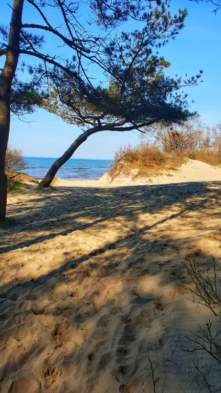 Волшебный Домик у моря