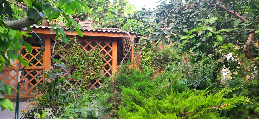 Просторный  дом в исторической части города, уютный сад