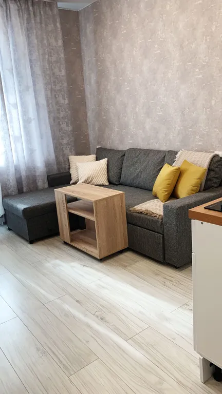 Квартира Студия аэропорт Жуковский — аренда посуточно в Раменское