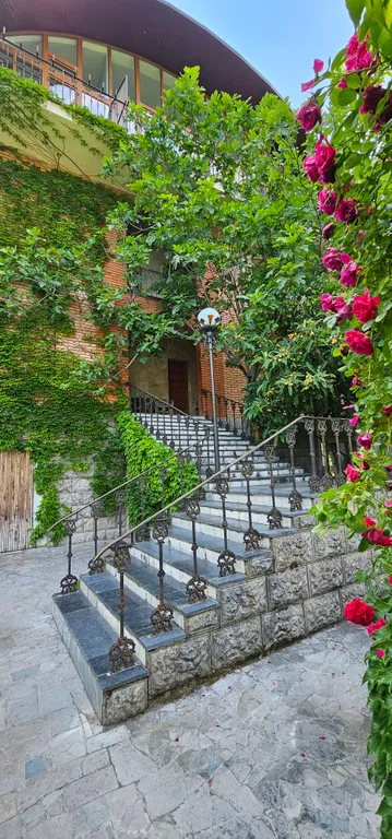 Солнце Ялты