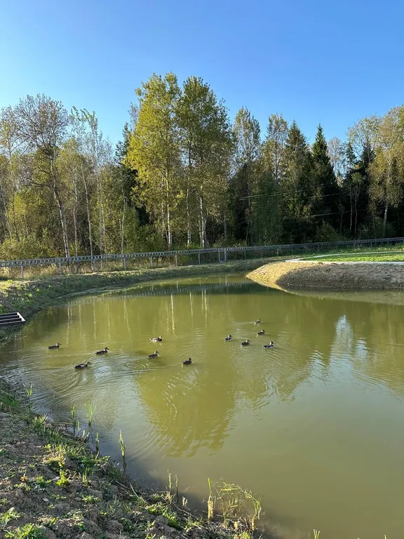 Уютный загородный дом