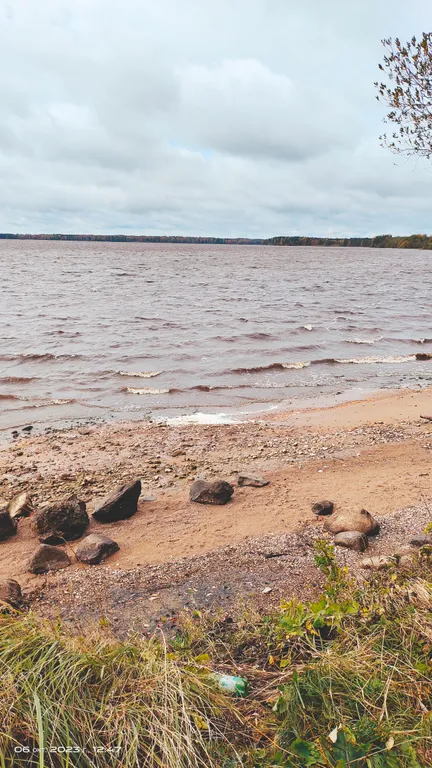 Коттедж Дом для гостей с камином на озере Волго, всесезонный отдых и рыбалка — Завирье