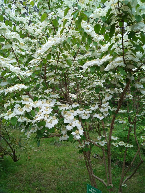 Квартира Квартира у моря в Сочи — Адлер