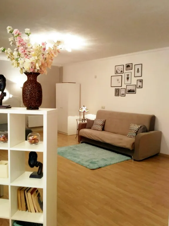 Сканди в Котельниках